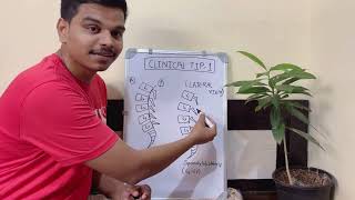 Clinical Tip Spine Xray Spondylolisthesis spine medico xray physiotherapy radiology youtube [upl. by Angeli118]