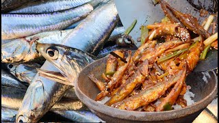 BEST CATCH AND COOK ANCHOVIES You Will Ever See [upl. by Kort]