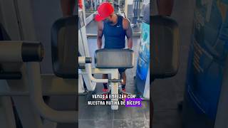 Rutina de bíceps gym gymmotivation gymlife gymlover [upl. by Vernice]