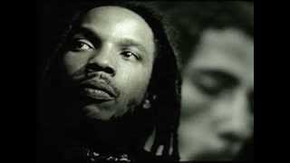 Stephen Marley  Youre gonna leave [upl. by Zashin]