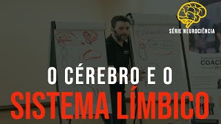 O Cérebro e sistema límbico [upl. by Pierson385]