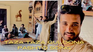 taza taza guloona pashto song dance performance  taza taza guloona pashto song  pashto song 2024 [upl. by Kirshbaum]