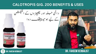 Calotropis Gig 200 BENEFITS amp USES  Dr Fahim Herbalist [upl. by Oilisab]