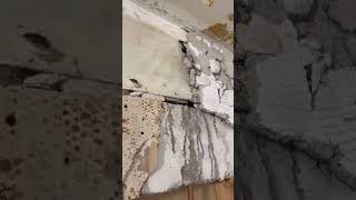 DIY Bathroom Renovation Pt2  Shower Demo diy [upl. by Fronnia]