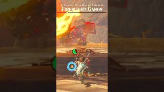 Fireblight Ganon Defeat The Legend of Zelda Breath of the Wild [upl. by Eyahc]