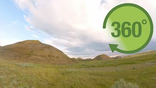 Grasslands in 360 [upl. by Leahciam22]