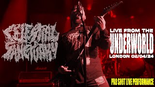 Celestial Sanctuary  Live At The Underworld  April 2nd 2024 [upl. by France]