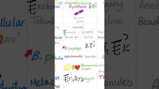 Corynebacterium diphtheriae Diphtheria toxin  pharyngitis myocarditis neuropathy Microbiology [upl. by Gyimah397]