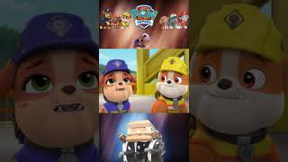 PAW Patrol  Coffin Dance Song coffindance shorts pawpatrol [upl. by Ajnin853]