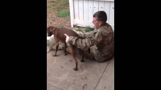 Toddler and dogs welcome Daddy home from deployment [upl. by Nalrah]