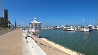 Corpus Christi A Beautiful City on the Texas Coast [upl. by Harden]