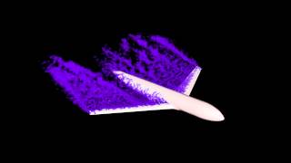 Finite element simulation of vorticity past airplane [upl. by Hunley]