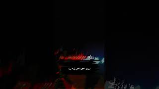 shorts Karbala Yaad Bohat Aati Hai 🙏❤ Syed Raza Abbas Zaidi shiastatus youtubeshorts [upl. by Dyoll]