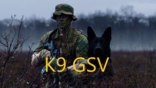 SØK HUNDEFØRER GSV [upl. by Ylliw]