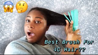 REAL EZ Detangling Brush Review  Is It Really The Best Detangler For Type 4 Hair [upl. by Ylloj554]