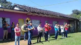 Tampico Hermoso  Banda Exploradora Siempre Al 💯 [upl. by Esaj]