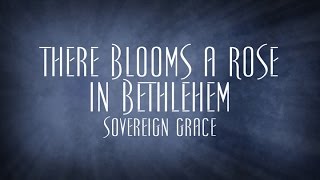 There Blooms a Rose in Bethlehem  Sovereign Grace [upl. by Alliehs]