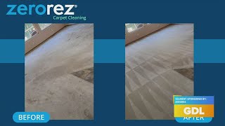 GDL Deep Clean Your Carpet with Zerorez [upl. by Andris]