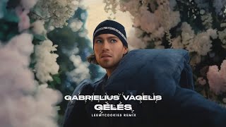 Gabrielius Vagelis  Gėlės LeeMyCookies Club Mix [upl. by Hinze]