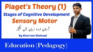 Piagets Theory of Cognitive Development Stages  Sensorimotor stage in Urdu Part 1 [upl. by Ermentrude]