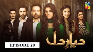 Diyar e Dil Episode 20 HUM TV Drama [upl. by Nussbaum]