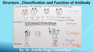 Classification of Antibody Isotype Allotype and Idiotype [upl. by Makell]