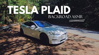 TESLA MODEL S PLAID  POV ASMR CANYON DRIVING  BACKROADS [upl. by Arehsat475]