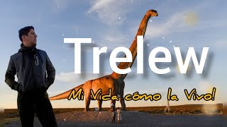 TRELEW Mi Vida cómo la Vivo [upl. by Yadahs]