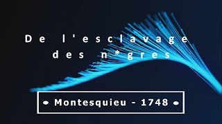 De lesclavage des nampgres  Prétexto 15 Montesquieu esclavage racisme encyclopédie [upl. by Cynarra]