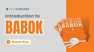 Introduction to BABOK  BABOK v3 Training  Techcanvass [upl. by Suoicul]