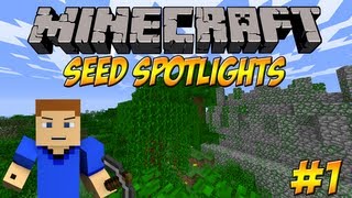 Minecraft 172 Seed Spotlight  JUNGLE TEMPLE AT SPAWN  ICY MOUNTAINS [upl. by Charmion]