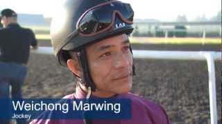 2013 Dubai World Cup Weichong Marwing  Jockey Fredrick Engels [upl. by Edwards]