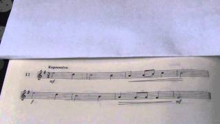 Violin Grade 2 Sight Reading No 11 Expressively [upl. by Anielram]