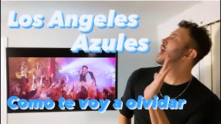 Los Angeles Azules Reacción Como te voy a olvidar  En Vivo Ft Vicentico [upl. by Enailuj]