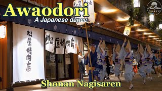 阿波踊り Shonan Nagisaren dances at the Toyosu Senkyakubanrai 3 10562024 Toyosu Tokyo Japan [upl. by Trista]