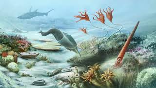 History of the Earth Part 2 Phanerozoic Eon – Paleozoic Era [upl. by Warford]