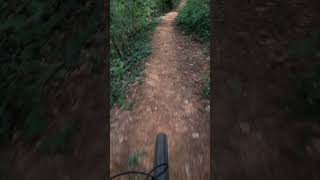 flow trail mtb shorts [upl. by Enad809]