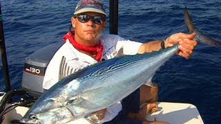 Fishing for Bonito Behind Shrimp Boats off Sebastian Inlet Florida [upl. by Gignac747]