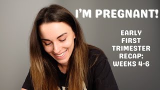 FIRST TRIMESTER RECAP weeks 46  pregnancy after loss pretest symptoms nausea  exhaustion [upl. by Bertilla]