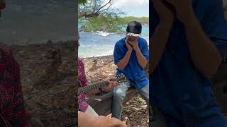 Island Style Harmonica For Beginners [upl. by Crim517]