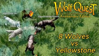 8 Wolves vs Yellowstone [upl. by Ivanna978]