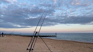 SOUTHBOURNE SOUTH COAST UK LIVE live livestream fishing [upl. by Folly]