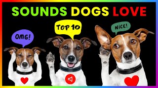 Top 10 Sounds Dogs Love GUARANTEED [upl. by Druce]