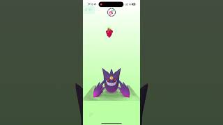 🪳MEGA Gengar  BUGGED🪳Not possible to feed him gengar megagengar pokemongo bug [upl. by Mallissa320]