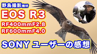 【EOS R3と大砲RFレンズ】SONYユーザーの感想【野鳥撮影機材】RF400mm F28 L IS USM／ RF600mm F4 L IS USM [upl. by Vincelette]