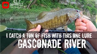 Kayak Fishing the Gasconade River  Cheap Lure that Catches Fish [upl. by Leisam]