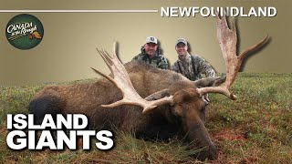 Remote Flyin Moose Hunting in Newfoundland  Canada in the Rough [upl. by Eirellav]