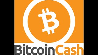 ⑬予想通りに落ちてきました。BCH ビットコインキャッシュ「bitcoincash」20240705 [upl. by Patty160]