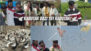 kabutar ki Bazi total piece151 kabutar 🕊️in Golconda Qila Hyderabad 🔥💯New vlog 💕 [upl. by Adlin]