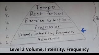 Muscle and Strength Training Pyramid Level 2 Volume Intensity Frequency [upl. by Lledroc]